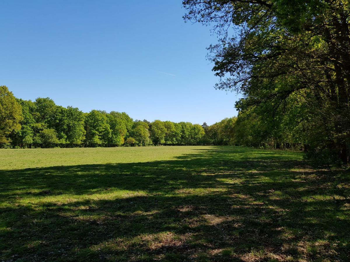 Knusse Bungalow Otterlo Veluwe Exteriér fotografie
